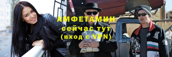 СК Алексин