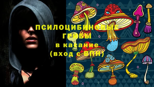 ALPHA PVP Алексеевка