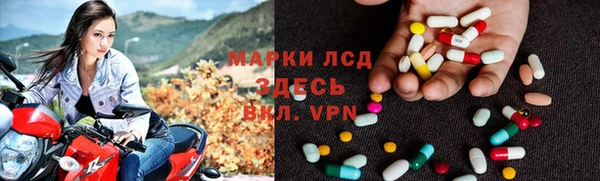 СК Алексин