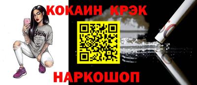 шишки Дубна