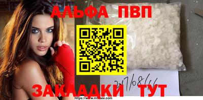 шишки Дубна