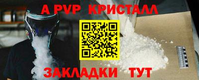 шишки Дубна