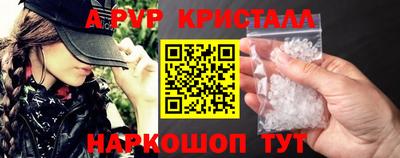 шишки Дубна