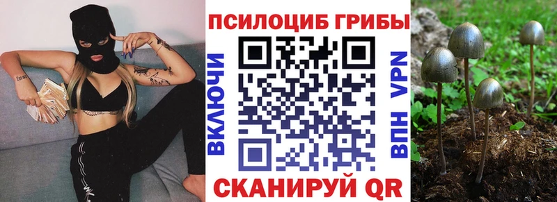 Галлюциногенные грибы GOLDEN TEACHER  Феодосия 